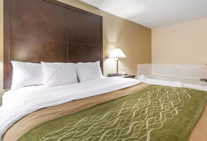 호텔 Quality Inn & Suites