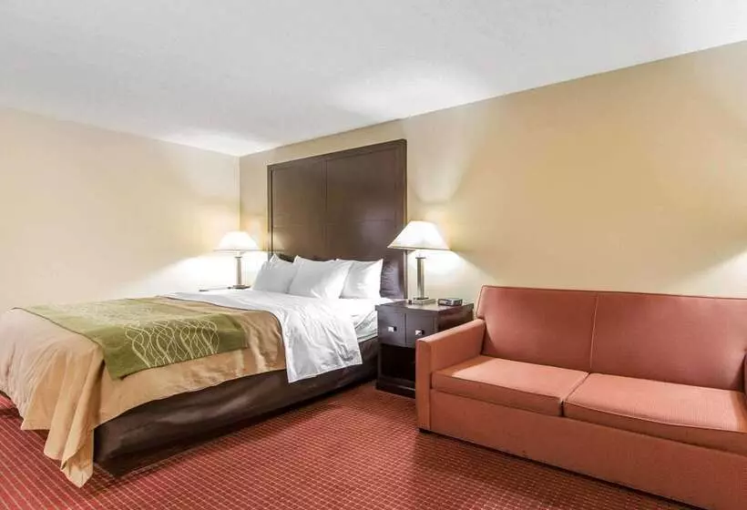 호텔 Quality Inn & Suites