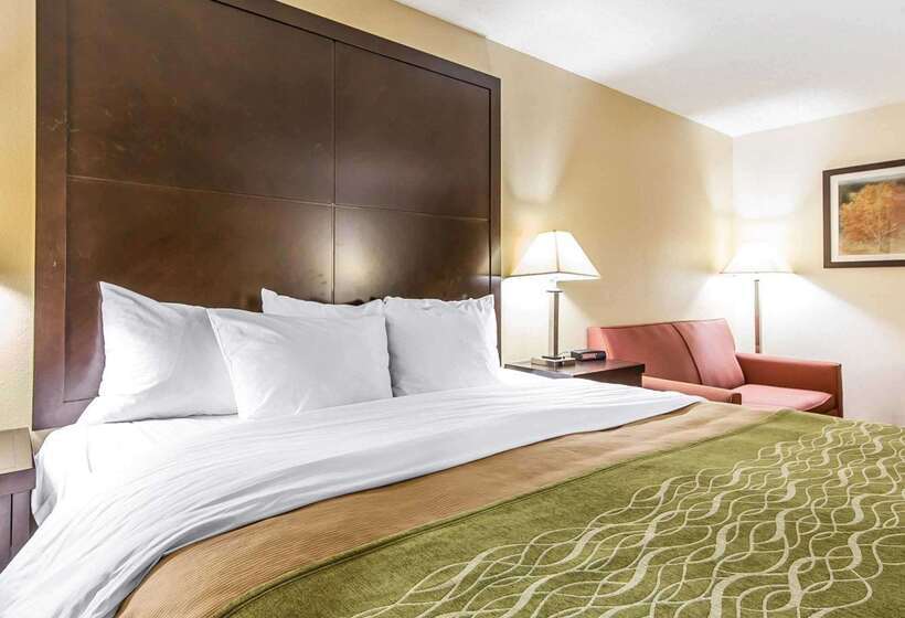 Отель Quality Inn & Suites