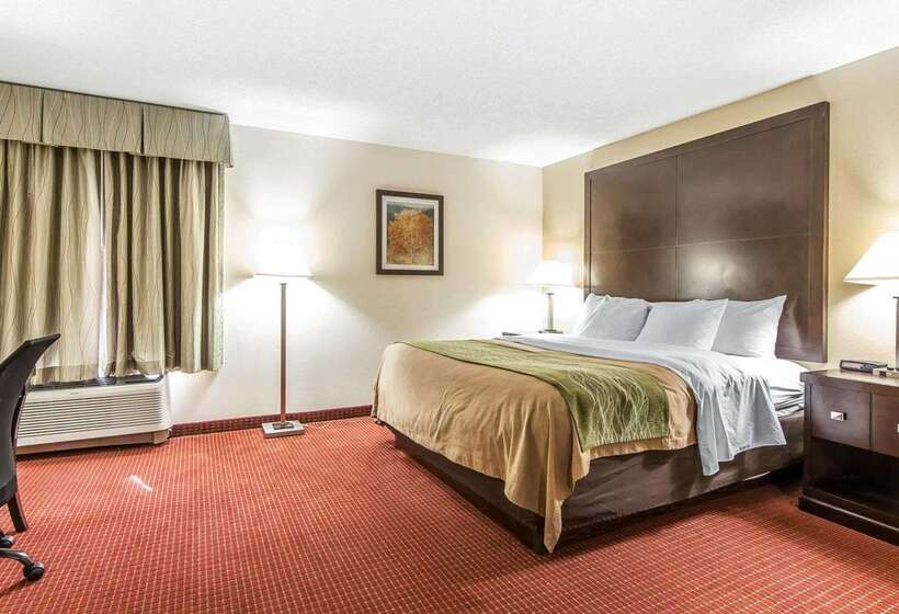 Отель Quality Inn & Suites
