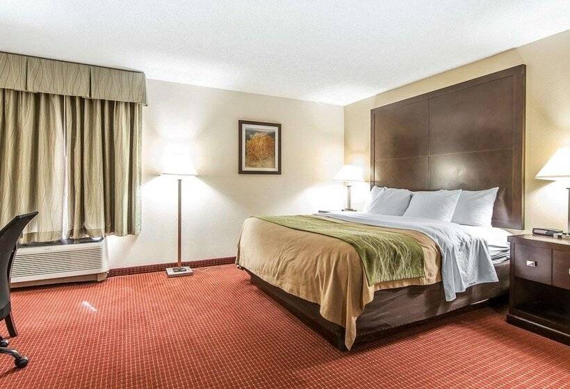 Отель Quality Inn & Suites