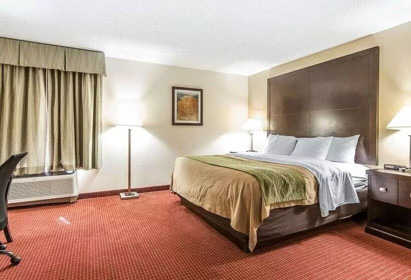 호텔 Quality Inn & Suites