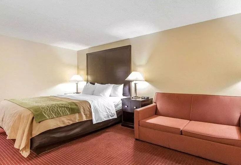 호텔 Quality Inn & Suites
