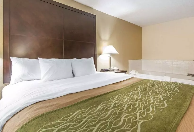 호텔 Quality Inn & Suites