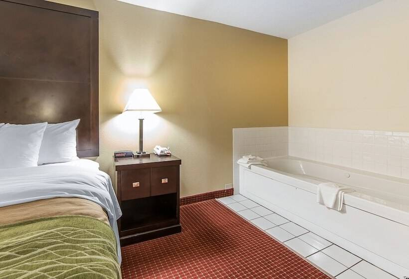 Отель Quality Inn & Suites