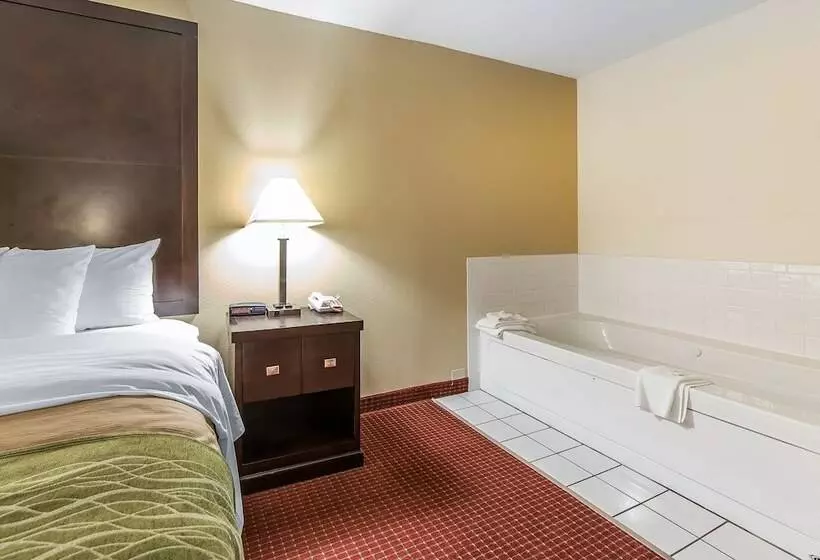 호텔 Quality Inn & Suites