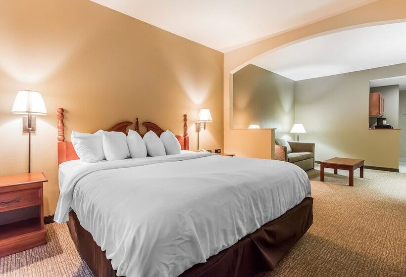 酒店 Quality Suites New Iberia