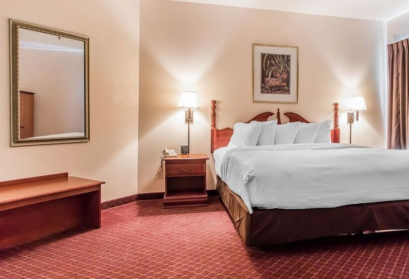 酒店 Quality Suites New Iberia