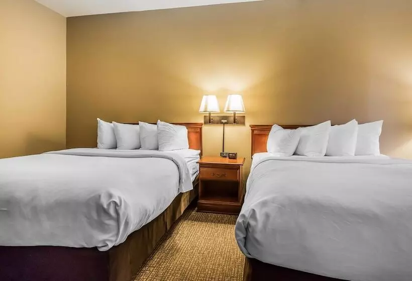 호텔 Quality Suites New Iberia