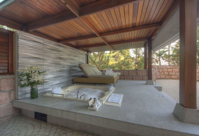 酒店 The Chateau Spa & Wellness Resort