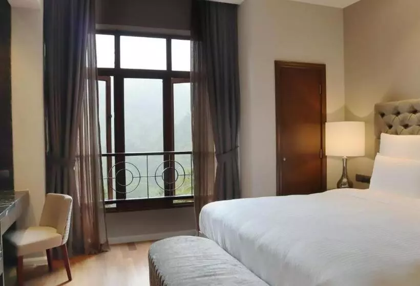 Отель The Chateau Spa & Wellness Resort