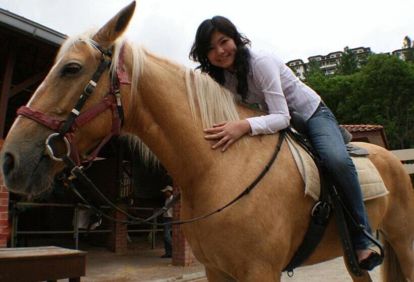 酒店 The Chateau Spa & Wellness Resort