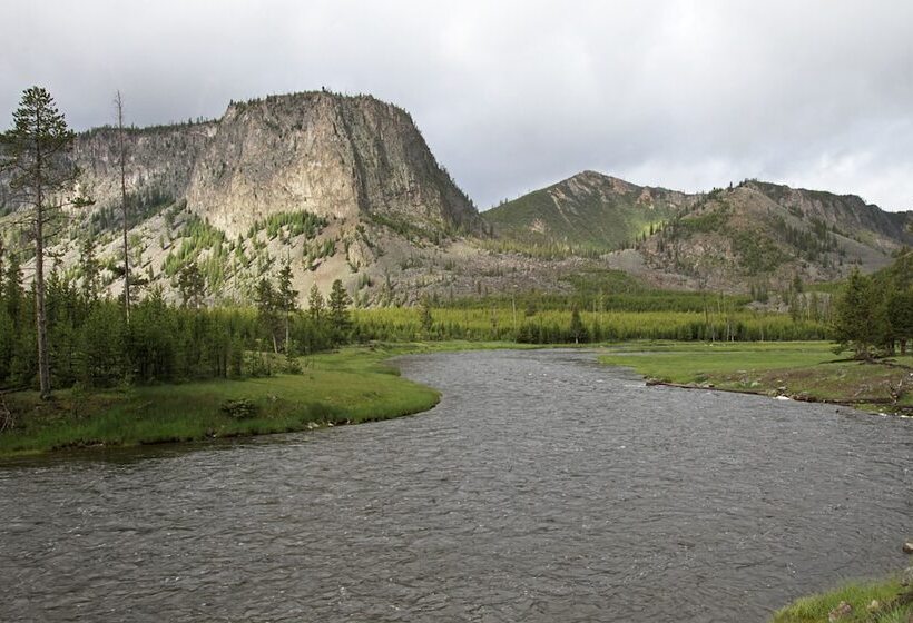 מוטל Dude & Roundup