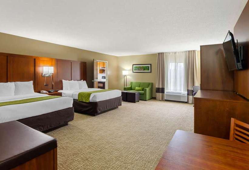 호텔 Comfort Suites Abingdon I81