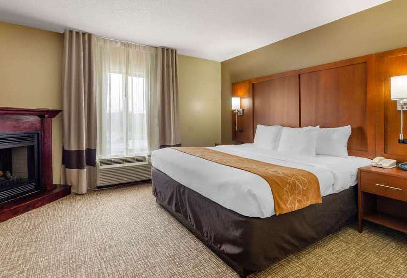 호텔 Comfort Suites Abingdon I81