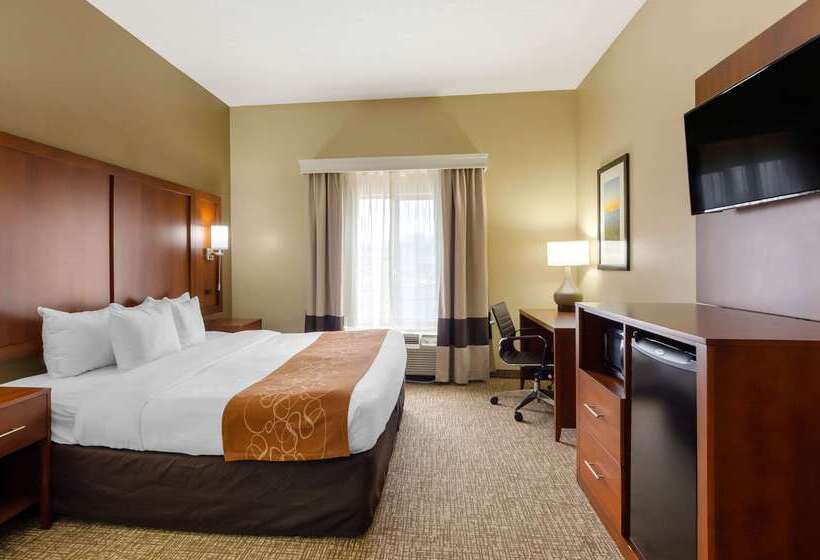 호텔 Comfort Suites Abingdon I81