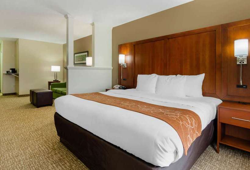 호텔 Comfort Suites Abingdon I81