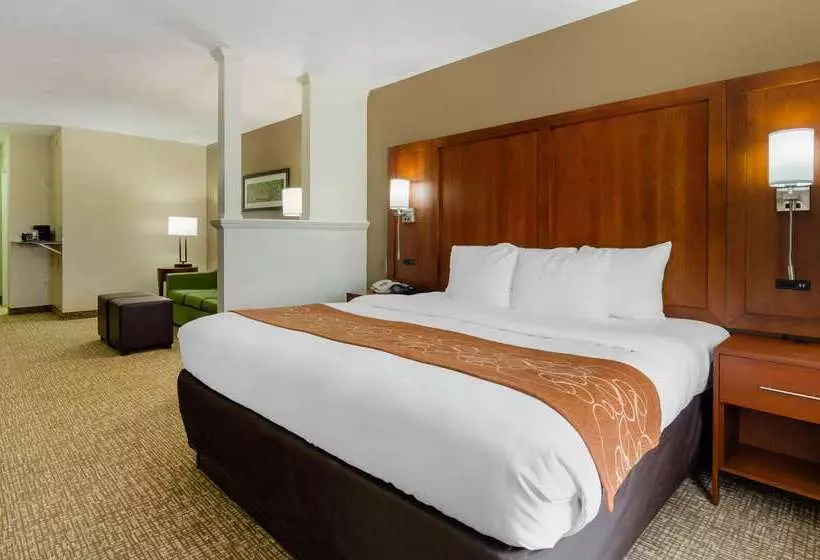 ホテル Comfort Suites Abingdon I81