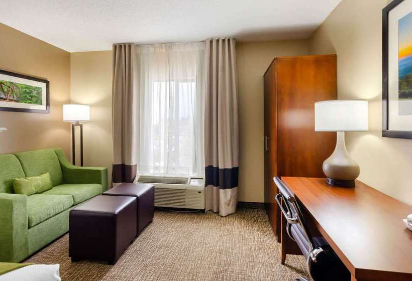 호텔 Comfort Suites Abingdon I81