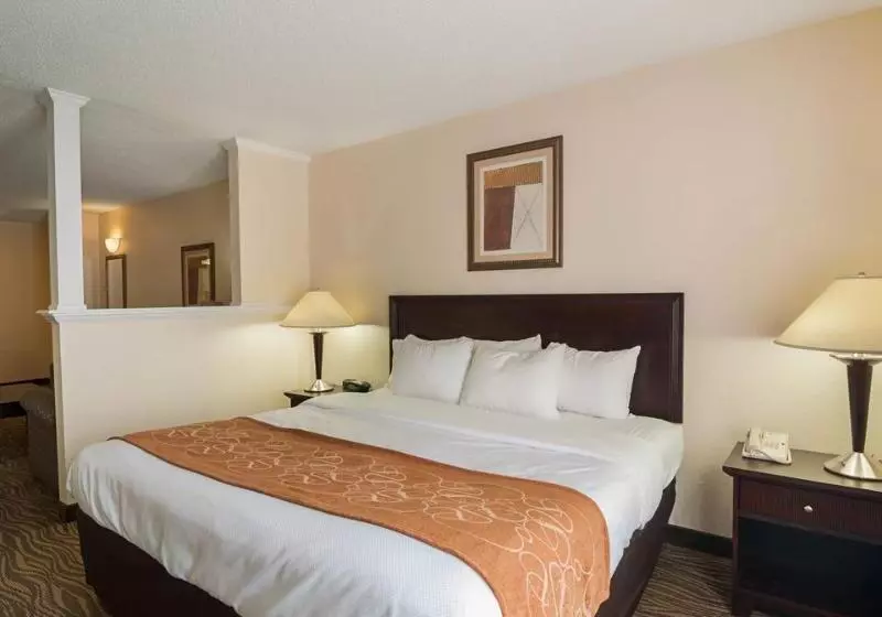 ホテル Comfort Suites Abingdon I81