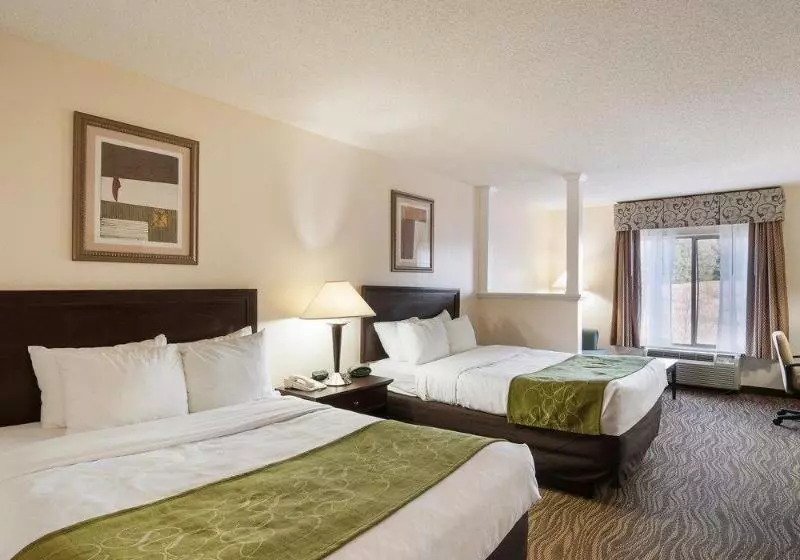 ホテル Comfort Suites Abingdon I81