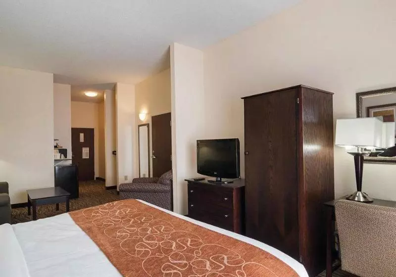 ホテル Comfort Suites Abingdon I81