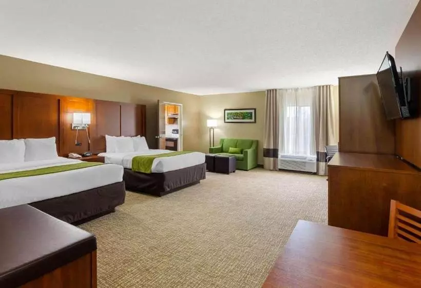 ホテル Comfort Suites Abingdon I81