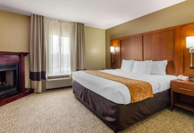 호텔 Comfort Suites Abingdon I81