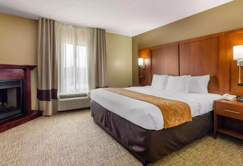ホテル Comfort Suites Abingdon I81