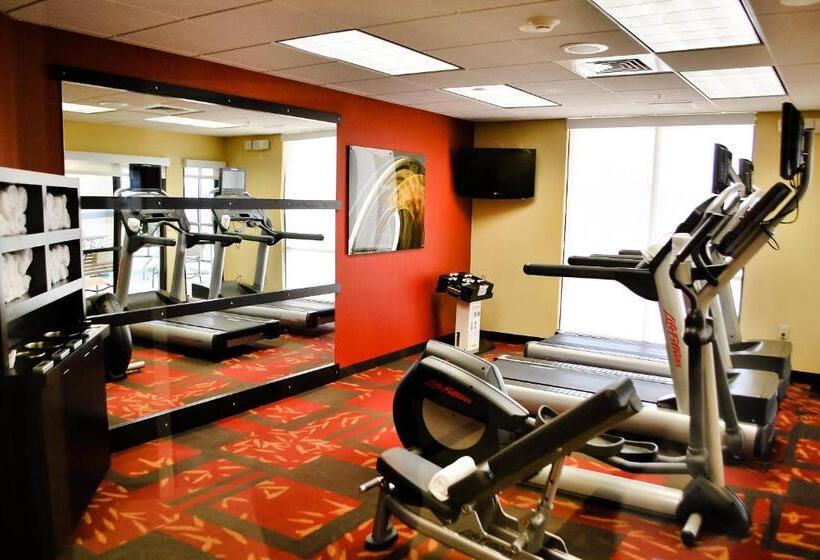 فندق Courtyard Salina