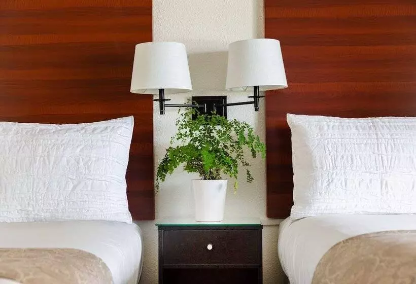 ホテル Diablo Mountain Inn Walnut Creek