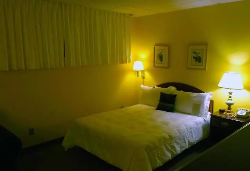 호텔 Higher Ground