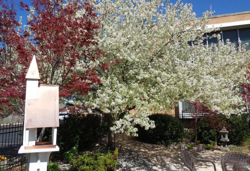 Отель Higher Ground