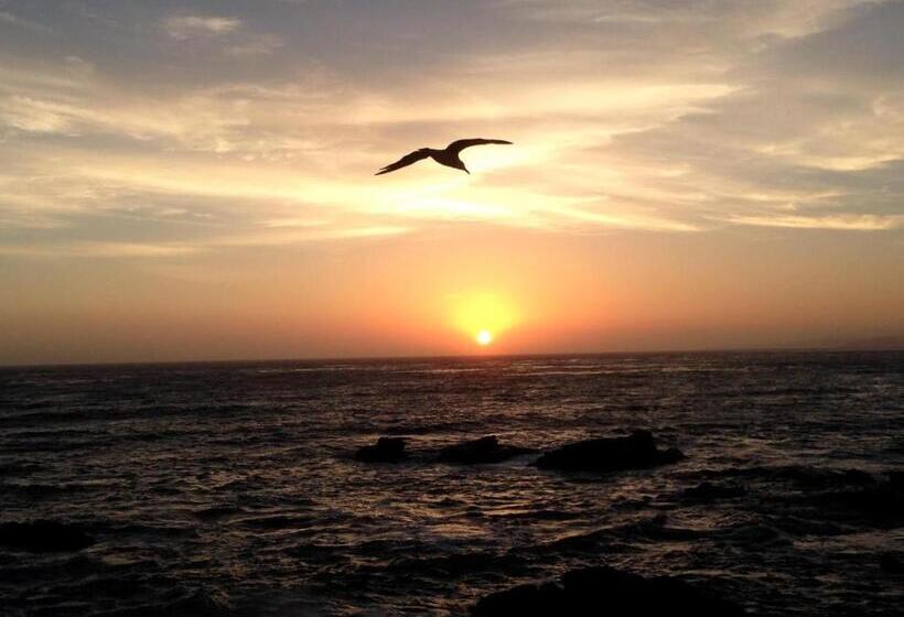 酒店 Little Sur Inn