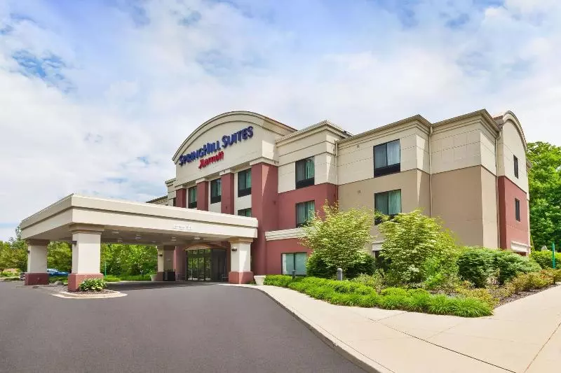 Hotel Springhill Suites By Marriott Grand Rapids Airport Southeast