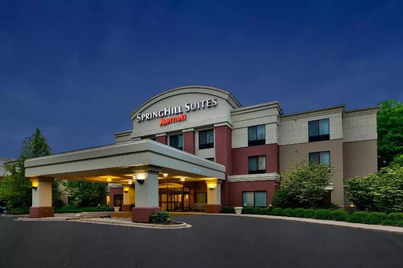 Hotel Springhill Suites By Marriott Grand Rapids Airport Southeast