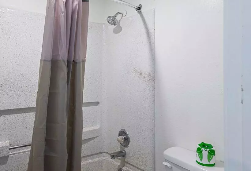 Motel 6blue Springs, Mo