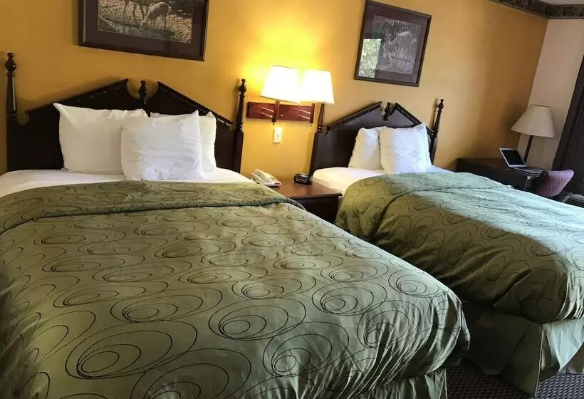 モーテル Clairmont Inn & Suites   Warren