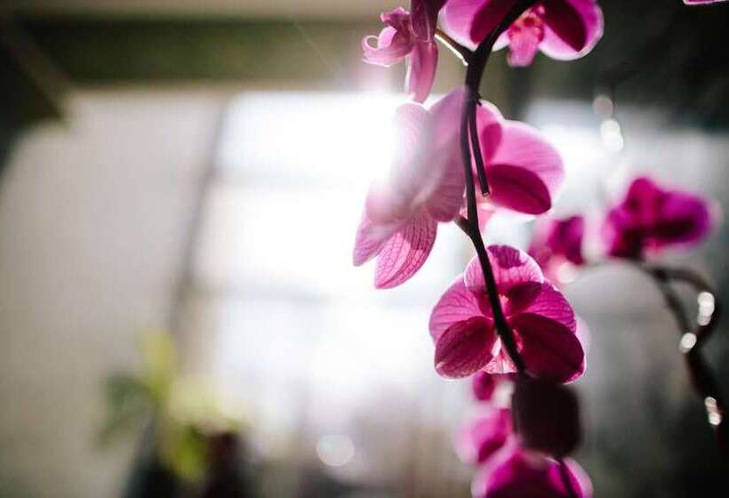 Colcord Hotel Oklahoma City, Curio Collection By Hilton