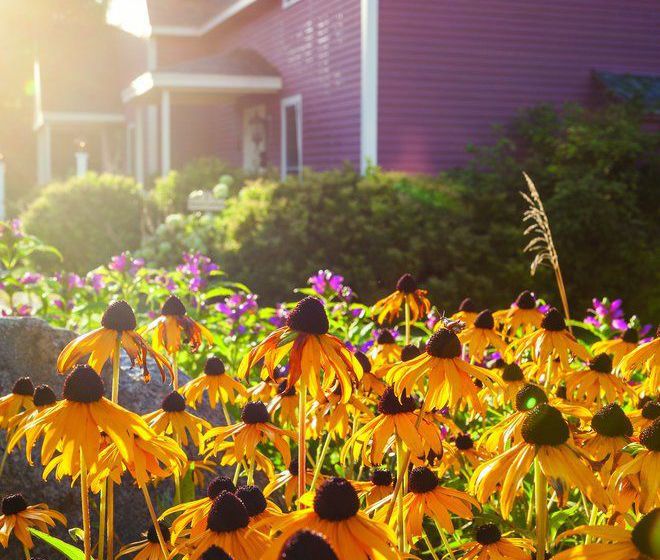 Crotched Mountain Resort