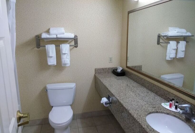 فندق Baymont By Wyndham Clinton