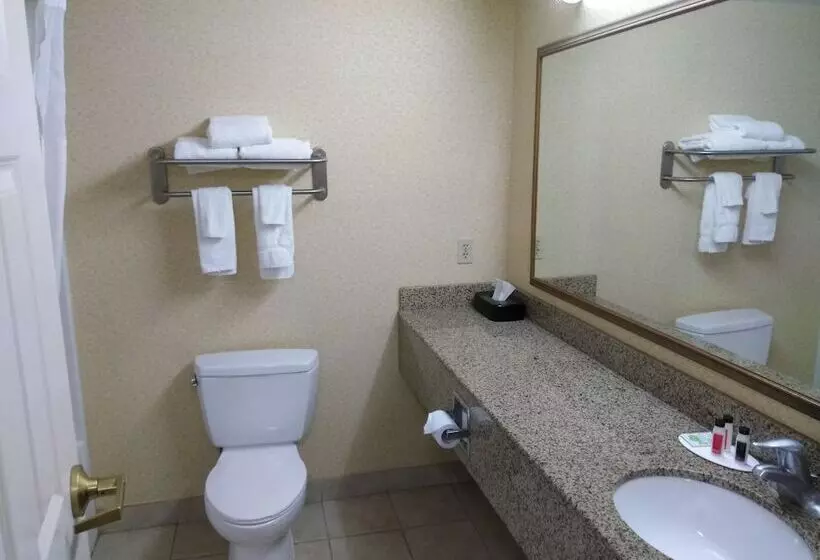 호텔 Baymont By Wyndham Clinton