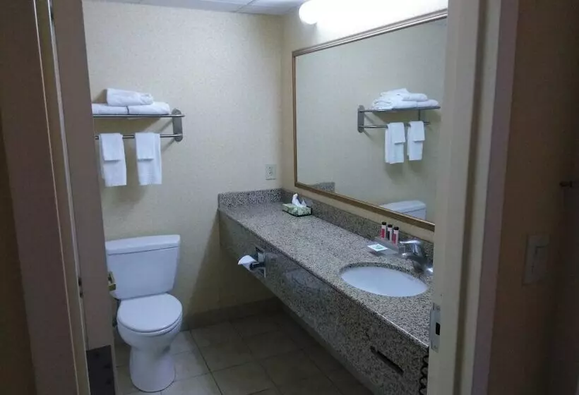 호텔 Baymont By Wyndham Clinton