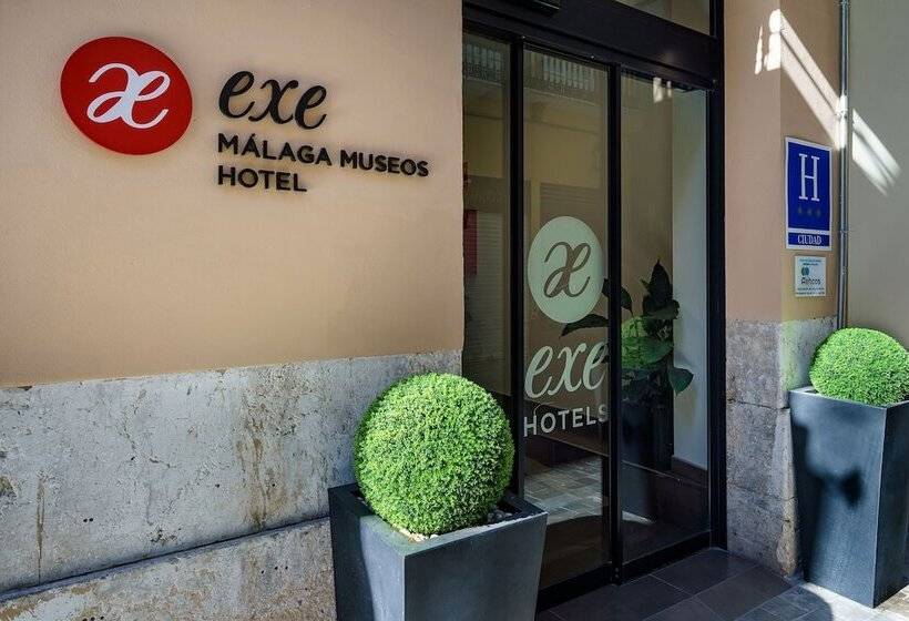 ホテル Exe Malaga Museos