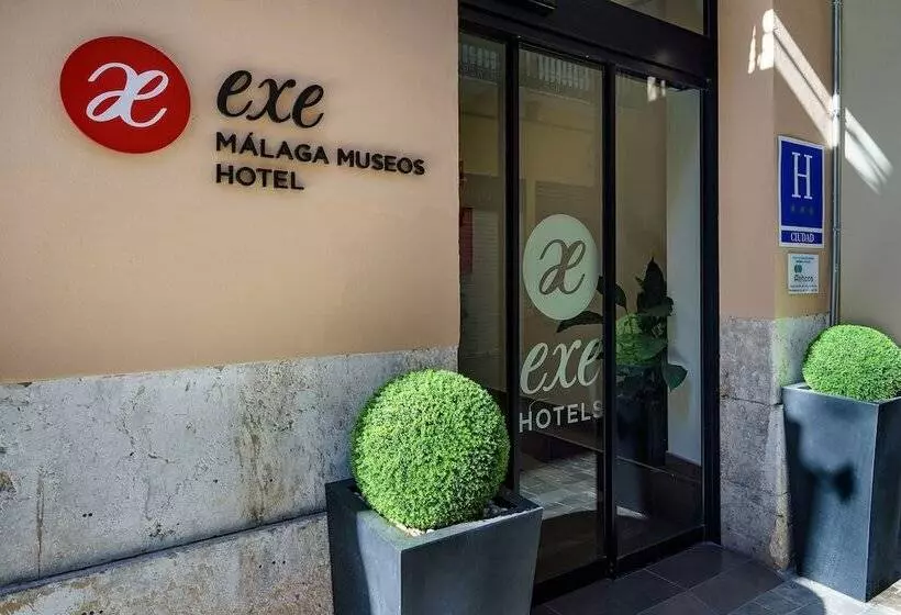 ホテル Exe Malaga Museos