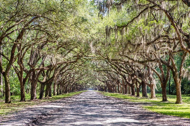 فندق Holiday Inn Savannah Historic District, An Ihg