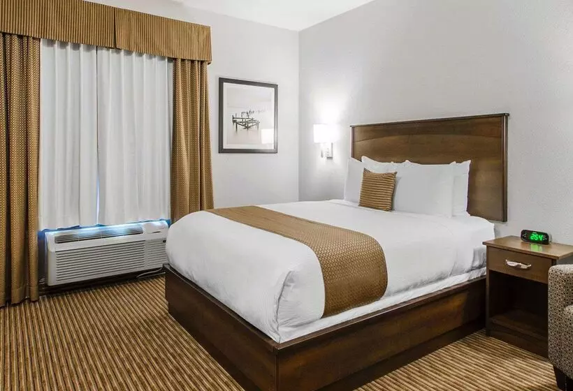 Отель Quality Inn & Suites
