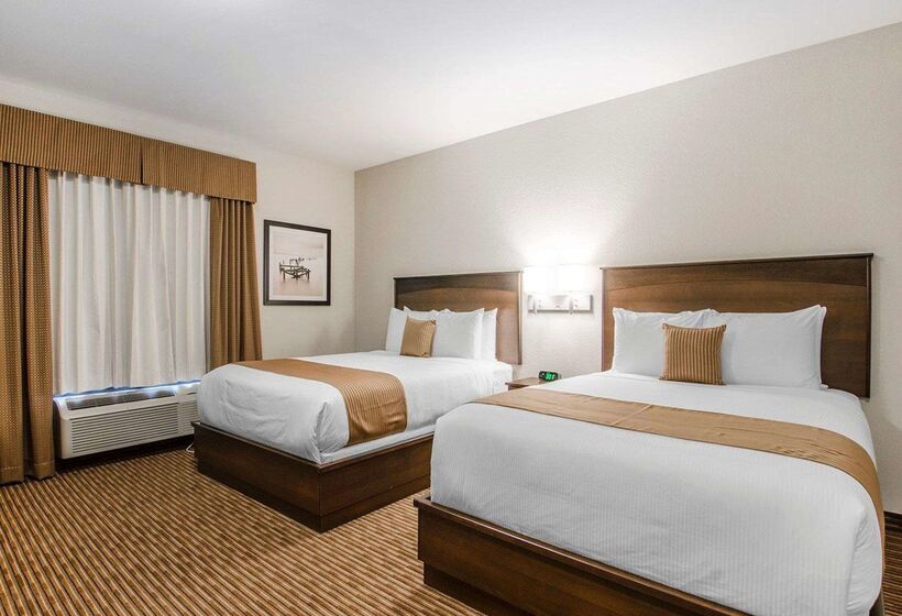 Szálloda Quality Inn & Suites