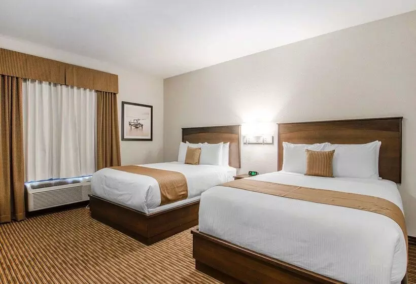 Отель Quality Inn & Suites