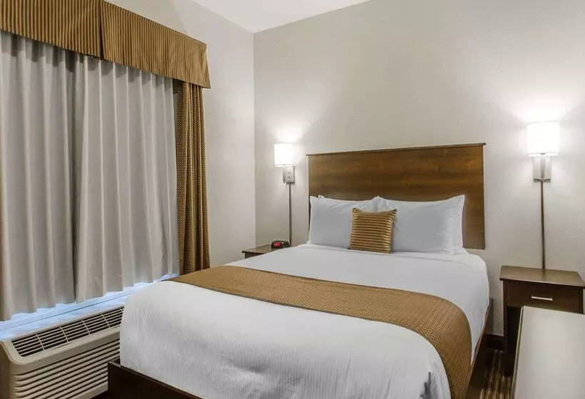 Отель Quality Inn & Suites